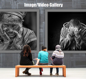 Image/Video Gallery